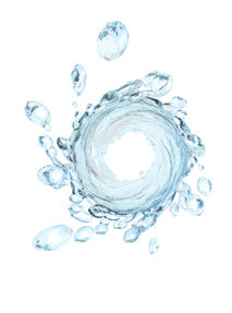 Home Washing Machine Sanitation Service - Standard